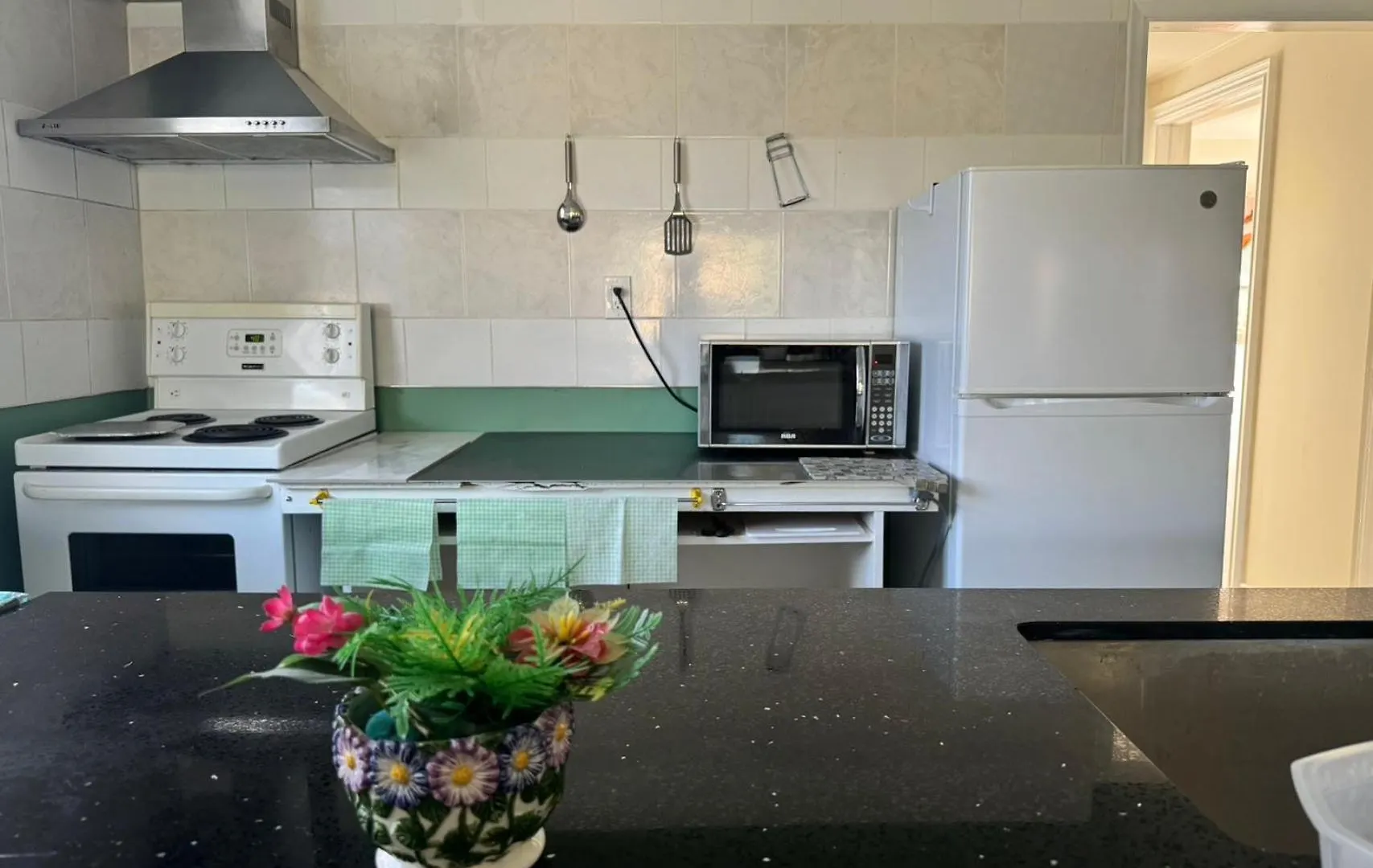 Queen Bedroom Near Finch Subway Toronto 0*,  Kanada